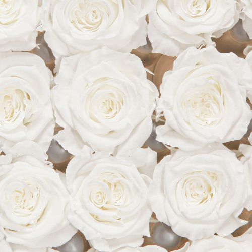 Article Infinity Roses Véritables Têtes de Roses Mini Roses Blanches Ø3cm 16 pcs
