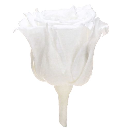 Article Infinity Roses Véritables Têtes de Roses Mini Roses Blanches Ø3cm 16 pcs
