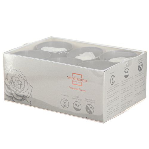 Article Roses blanches véritables Fleurs stabilisées Ø6cm 6pcs