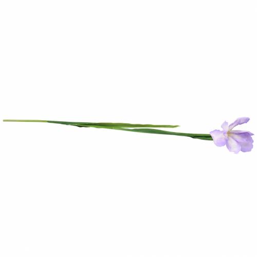 Floristik24 Iris artificiel violet 78cm