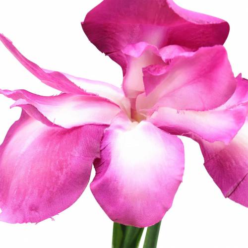 Article Iris artificiell Rose 78cm