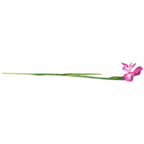 Article Iris artificiell Rose 78cm