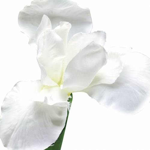 Article Iris artificiel Blanc 78cm