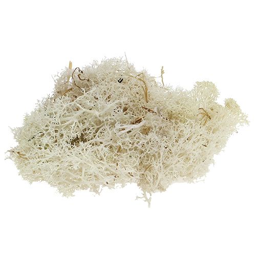 Mousse d&#39;Islande blanchie 400g