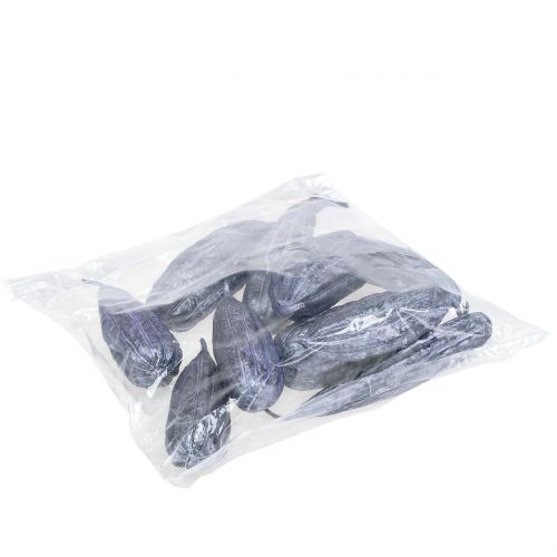 Floristik24 Luffa Fruit Violette 14cm – 20cm 10 pcs