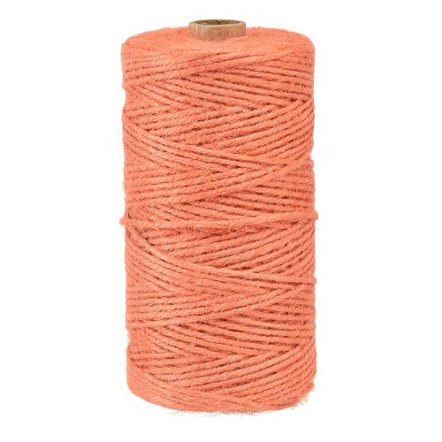 Floristik24 Ruban de jute cordon de jute ruban jute orange Ø3mm 200m