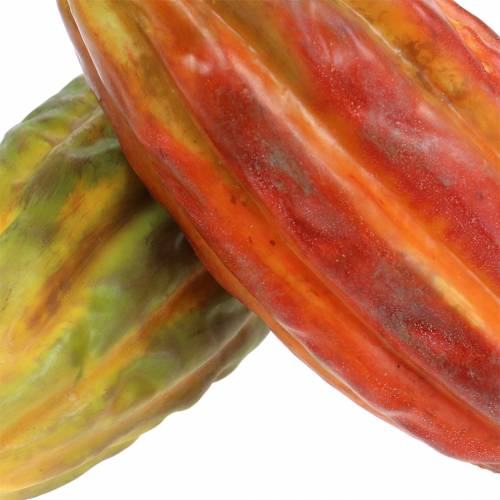Mélange de fèves de cacao, 18 cm, vert, orange