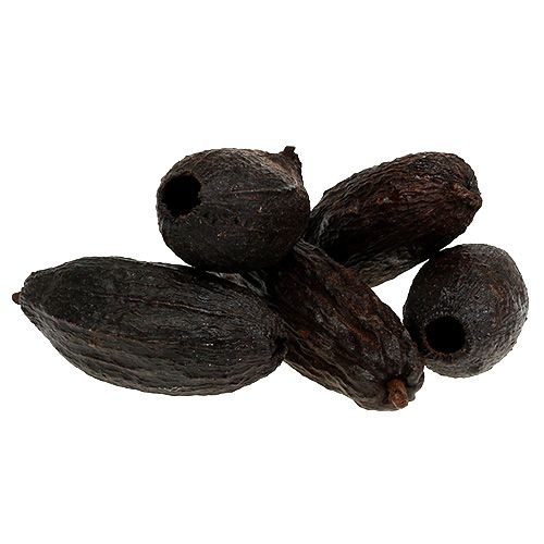 Fruit de cacao naturel 10-18cm 15 pcs
