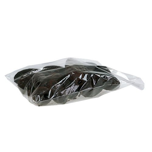 Floristik24 Fruit de cacao naturel 10-18cm 15 pcs