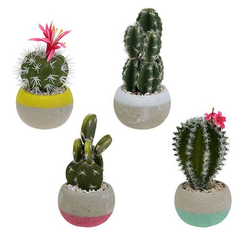 Floristik24 Cactus en pot mix H13cm 4pcs