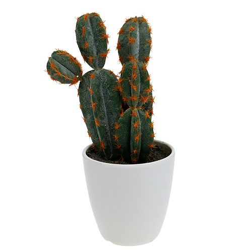 Floristik24 Cactus en pot artificiel 20cm