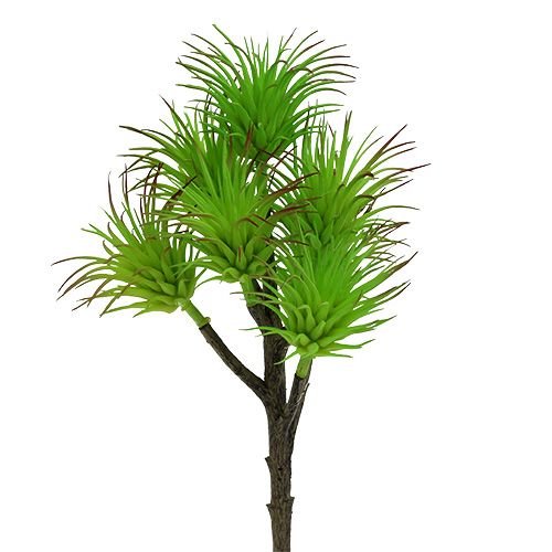 Floristik24 Branches de cactus 20cm vert clair 3pcs