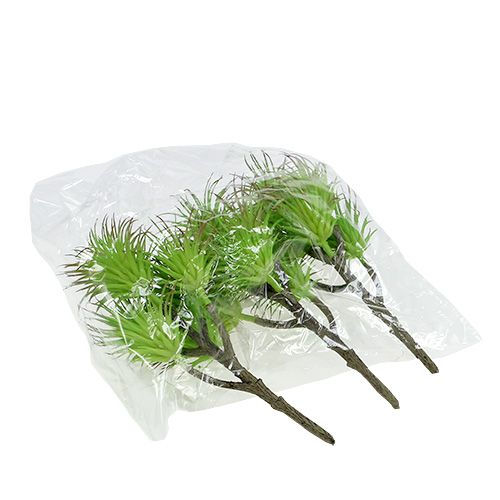 Floristik24 Branches de cactus 20cm vert clair 3pcs