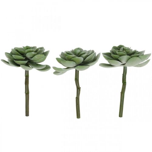 Floristik24 Déco succulentes artificielles plantes artificielles vertes 11×8.5cm 3pcs