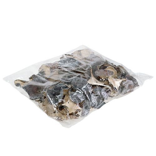 Floristik24 Champignon Kalix blanchi à la chaux 100 pcs