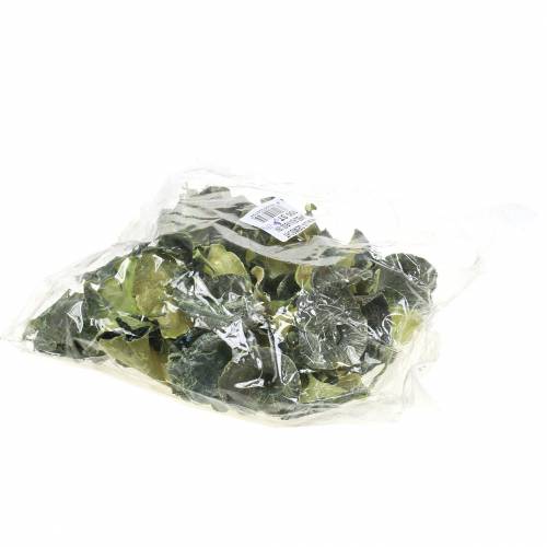 Article Champignon Kalix vert, blanchi à la chaux 100 pcs