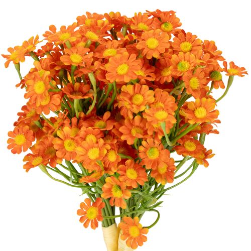 Floristik24 Bouquet de fleurs artificielles de camomille pour une décoration saisonnière d'ambiance, 27 cm, 3 pièces