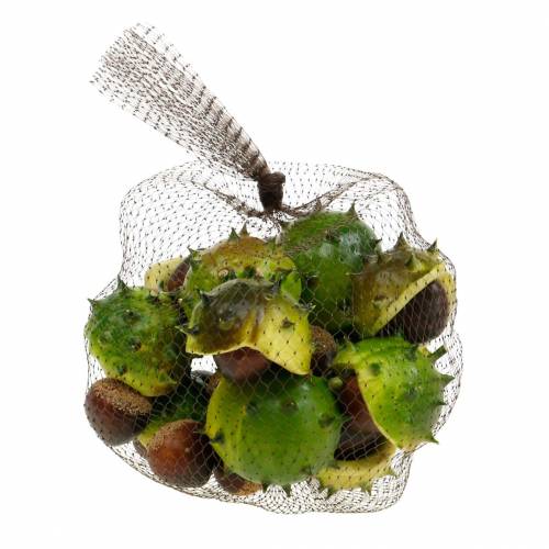 Floristik24 Déco marrons au filet vert 24pcs