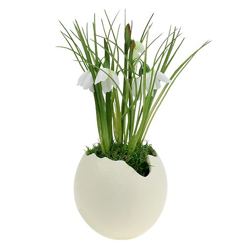 Floristik24 Oeuf en céramique crème ouverte H12cm 2pcs