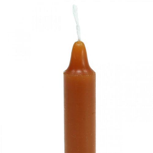 Floristik24 Bougies arbre bougies pyramidales Ø13×H105mm marron, doré 10pcs