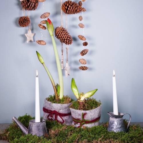 Floristik24 Bougeoir cruche aspect antique H12/9cm 2pcs