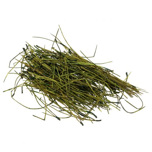 Floristik24 Aiguilles de pin vertes 400g