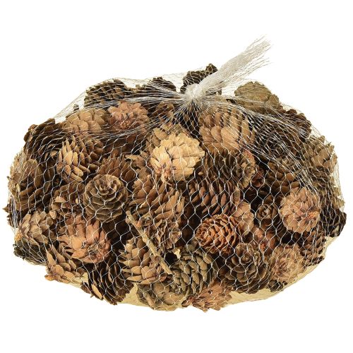 Article Pommes de pin naturelles petites décorations en filet 2,5-3,5 cm 300 g