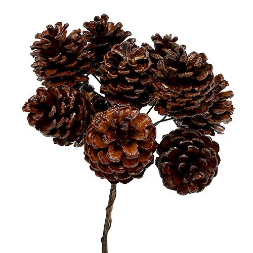 Article Pommes de pin Cônes naturels cirés sur fil 4-6cm 100pièces