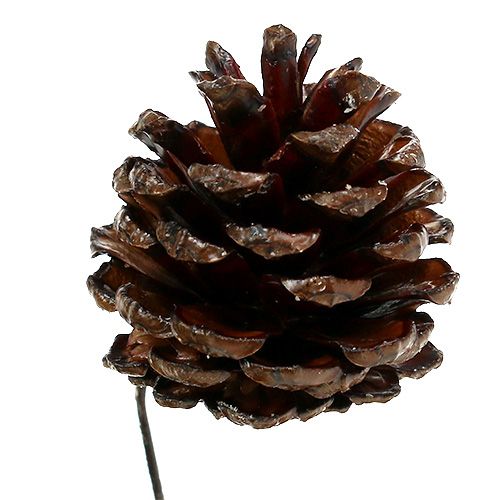 Article Pommes de pin Cônes naturels cirés sur fil 4-6cm 100pièces