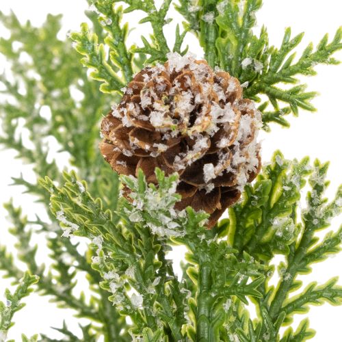 Branche de pin artificielle enneigée avec pommes de pin 28 cm, lot de 6 | Floristik24.fr