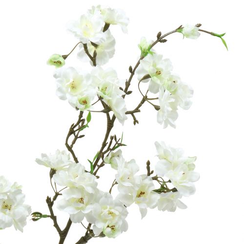 Floristik24 Branche de cerisier blanc 105cm