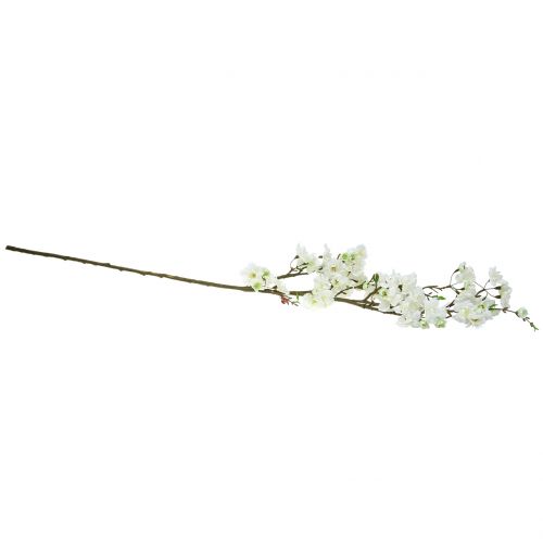 Floristik24 Branche de cerisier blanc 105cm