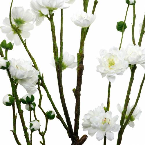 Floristik24 Branche de fleurs de cerisier, branche décorative artificielle blanche, décoration de printemps en fleurs de cerisier
