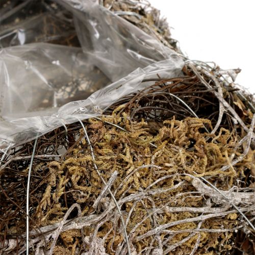 Floristik24 Coussin mousse, vigne 25cm x25cm