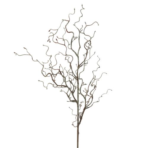 Floristik24 Branche de saule artificielle avec bourgeons ressort marron L76cm