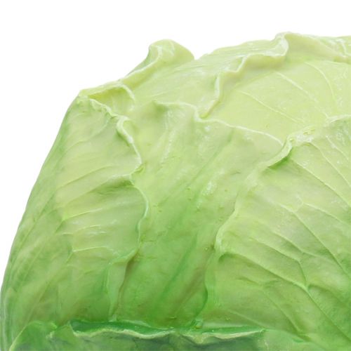 Floristik24 Chou blanc Ø16cm