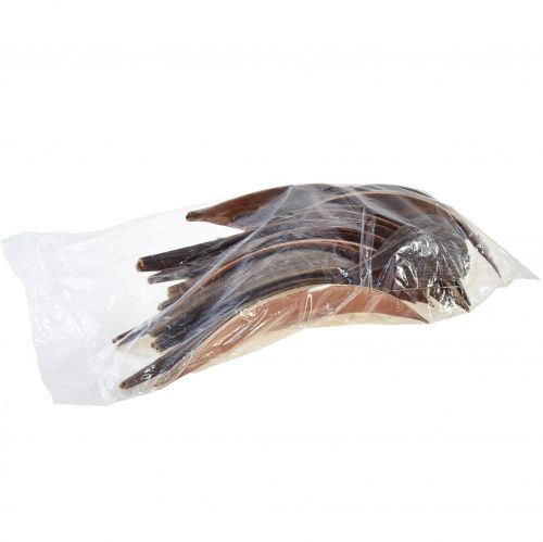 Article Coquilles de noix de coco, feuilles de noix de coco séchées naturelles 22cm - 42cm 25 pièces