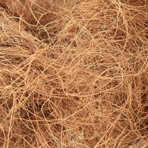 Floristik24 Fibre de coco fibre végétale naturelle fibre naturelle matériel artisanal 1kg
