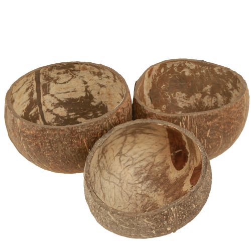 Article Bol en noix de coco bol en noix de coco décoratif naturel coupé en deux 10cm 6 pcs
