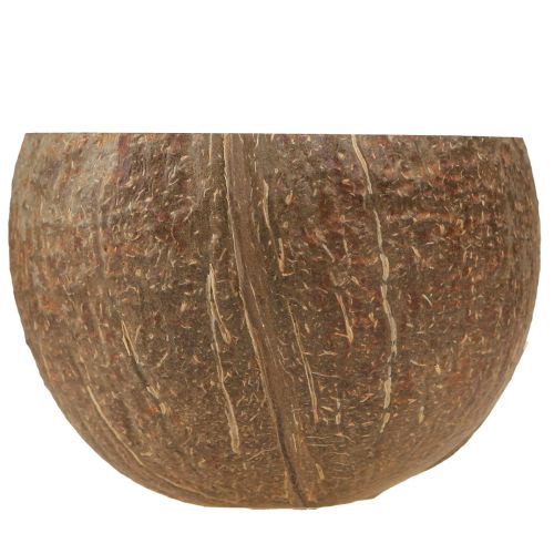 Article Bol en noix de coco bol en noix de coco décoratif naturel coupé en deux 10cm 6 pcs