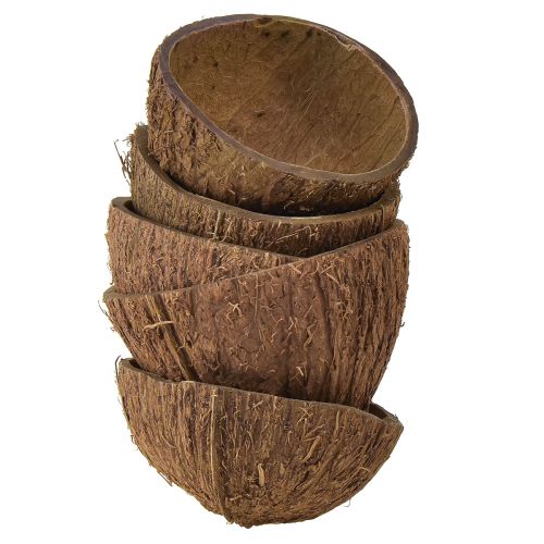 Floristik24 Décoration bol en noix de coco demi-noix de coco naturelles Ø7-9cm 5 pcs