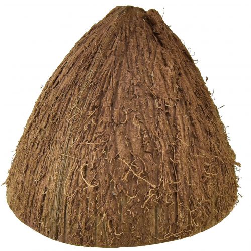 Floristik24 Décoration bol en noix de coco demi-noix de coco naturelles Ø7-9cm 5 pcs
