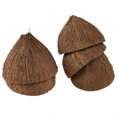 Floristik24 Décoration bol en noix de coco demi-noix de coco naturelles Ø7-9cm 5 pcs