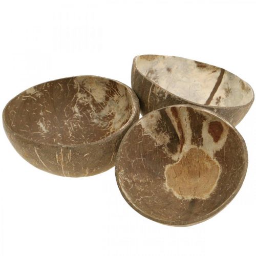 Floristik24 Bol décoratif en noix de coco naturel poli 6 pcs