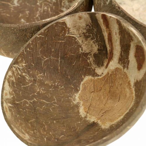 Floristik24 Bol décoratif en noix de coco naturel poli 6 pcs