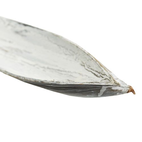 Article Noix de coco feuille de coco blanchie 60cm