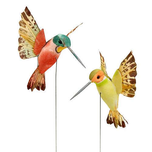 Floristik24 Colibri avec fil 5.5cm L22cm assorti 12pcs