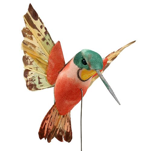 Floristik24 Colibri avec fil 5.5cm L22cm assorti 12pcs