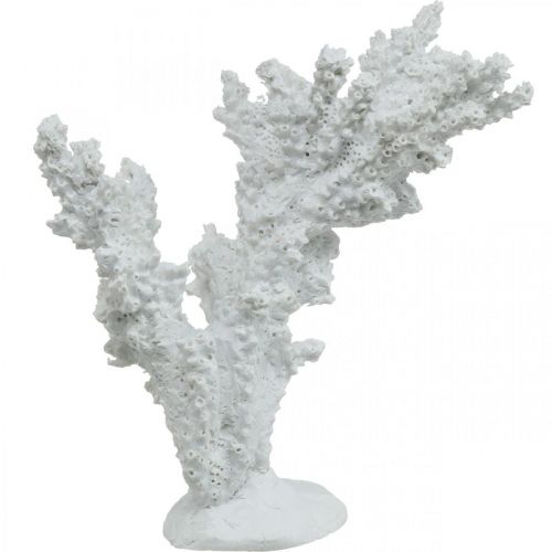 Floristik24 Décoration maritime corail blanc décoration artificielle stand 11×12cm