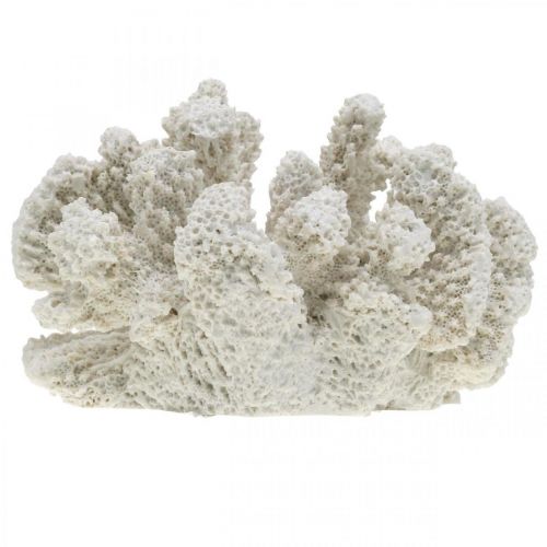 Floristik24 Décoration maritime corail blanc polyrésine artificielle petit 13.5x12 cm